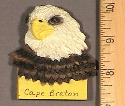 3-D Eagle Head Magnet