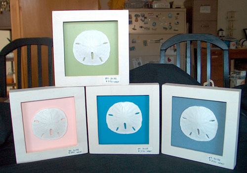 Resin Sanddollar Shadow Box (4 Asst)